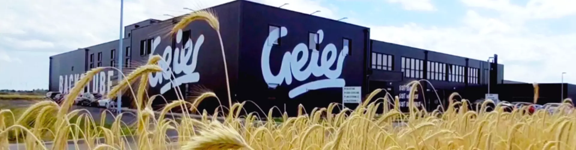 Geier.Die Bäckerei cover